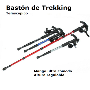 Bastón de Trekking (4)