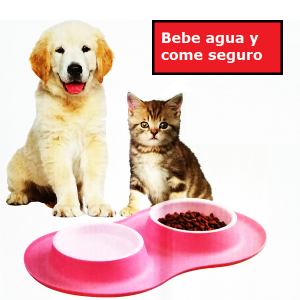Comedero doble para perros y gatos (8)