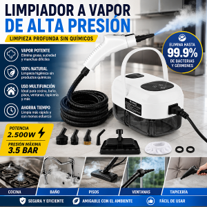Limpiador a vapor de alta presión (23)