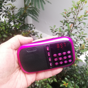 Radio de bolsillo (3)